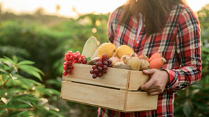 fruits et légumes de saison